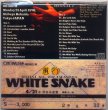 Photo2: Whitesnake "We Shook You" -2 CD, Tarantura (2)