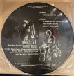 Photo2: Led Zeppelin “Riot House” Picture Disc (2)